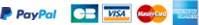 logos-payment